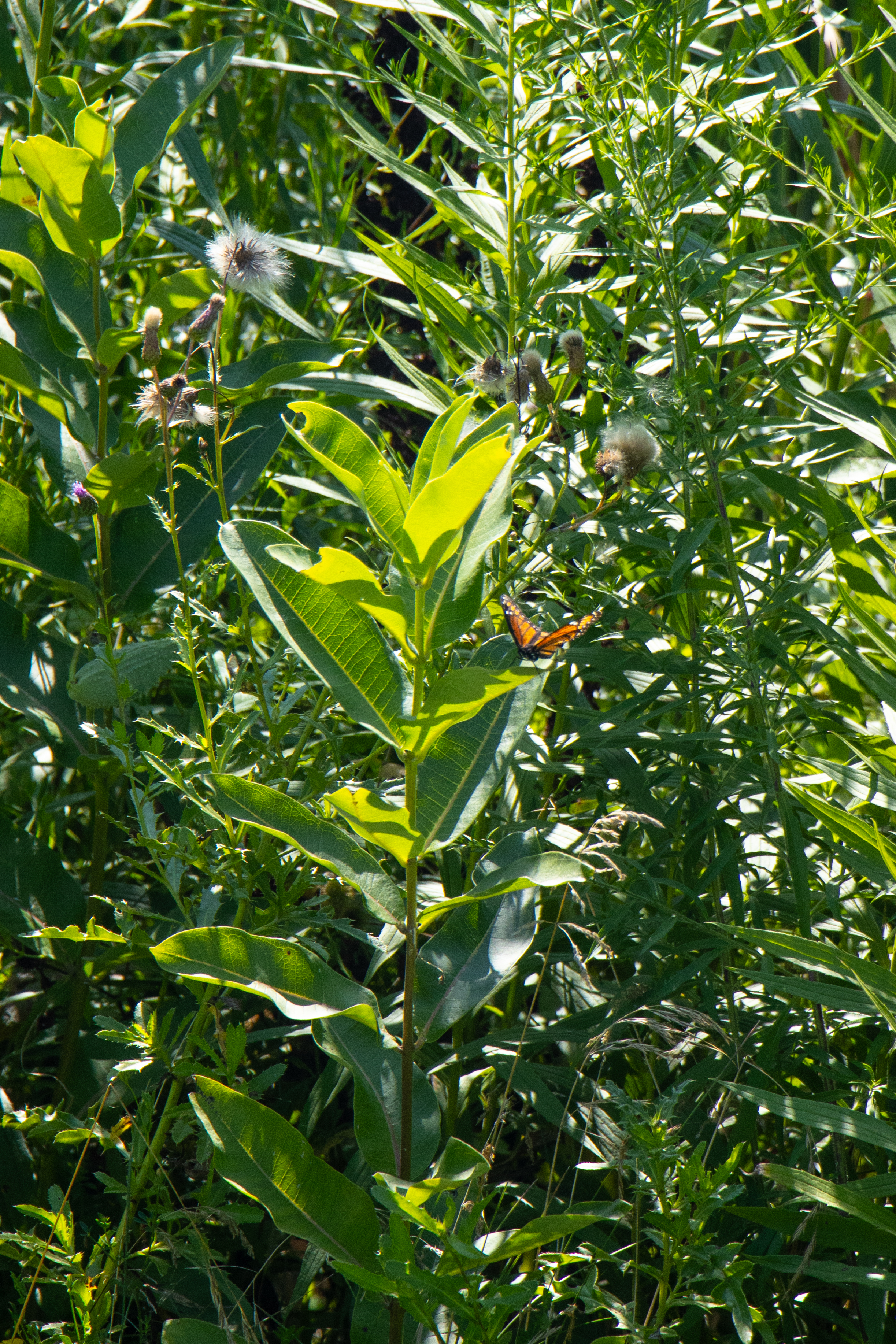 Meeting Photo Slide Show